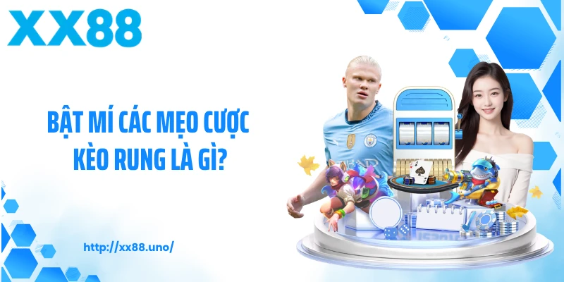 Bật mí các mẹo cược kèo rung là gì?