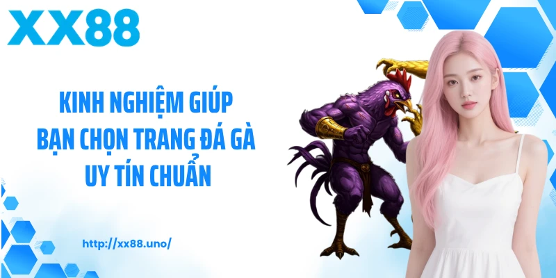 Kinh nghiệm giúp bạn chọn trang đá gà uy tín chuẩn