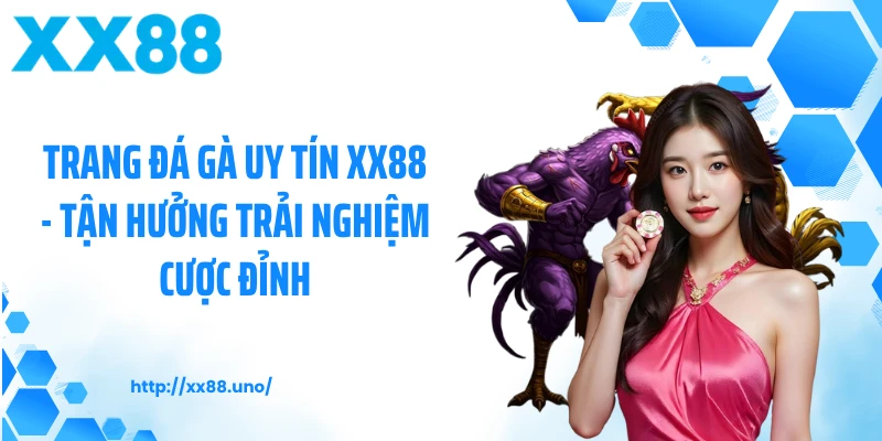 Trang Đá Gà Uy Tín XX88 - Tận Hưởng Trải Nghiệm Cược Đỉnh